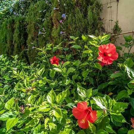 Apartment 212 Heaven Apartments, Guadalmansa Playa Estepona