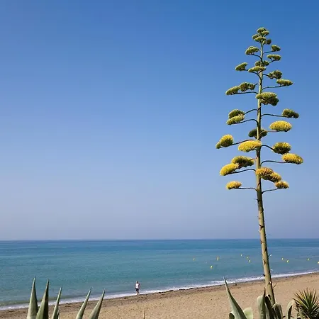 212 Heaven Apartments, Guadalmansa Playa *