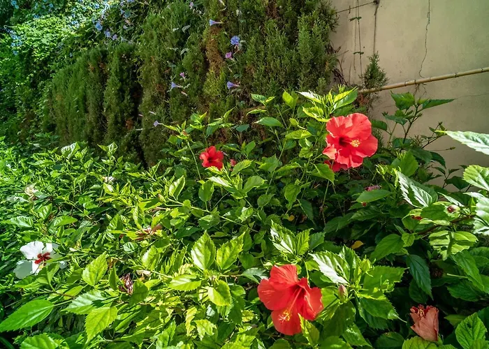 아파트 212 Heaven Apartments, Guadalmansa Playa 에스테포나