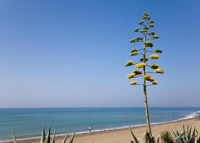 212 Heaven Apartments, Guadalmansa Playa *